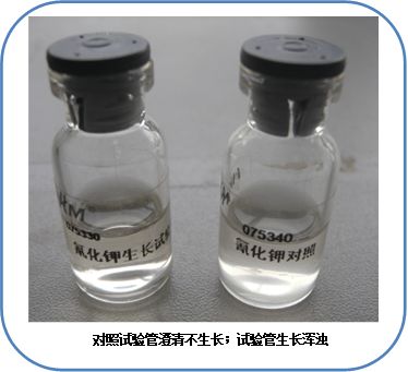 食品微生物檢驗沙門氏菌檢驗常用培養基原理解析