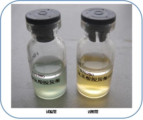 沙門氏菌檢驗常用培養基原理解析與現代微生物菌劑應用